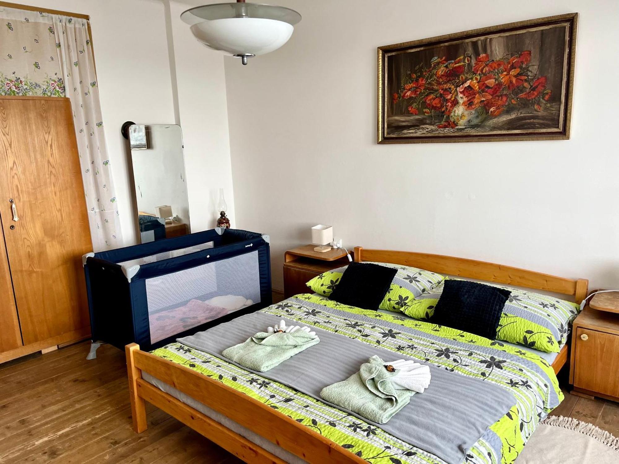 Slunny Byt S Krasnym Vyhledem Apartamento Nové Město nad Metují Exterior foto